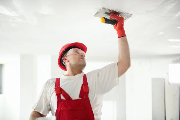 Best Wallpaper Removal and Painting  in Westlake Vlage, IL